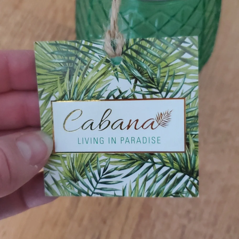 Cabana NWT‎ Green Scored Glass Pineapple Sipper Jar